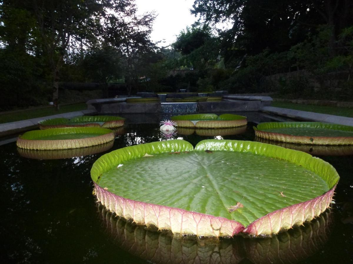 푸나스 Casa Da Tia Luisa 빌라 외부 사진